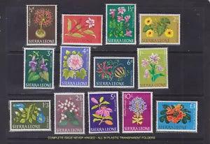 AFRICAN FLOWERS JINA GBO BENISSED TULP TREE PLUMBAGO HIBISCUS LILY CRINUM NH