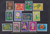 AFRICAN FLOWERS JINA GBO BENISSED TULP TREE PLUMBAGO HIBISCUS LILY CRINUM NH