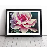 Dazzling Peony Flower Framed Wall Art Poster Print Home Decor Picture Large