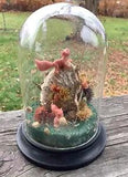 Dried Flower Terrarium With Squirrels Glass Cloche Dome Sealed Unique Retro