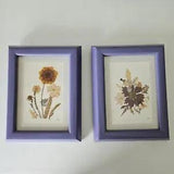 pressed flowers Art framed