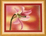 Diy Needlepoint Partial Embroidery "Lily" Embroidery Kit. Unprinted ???anvas