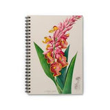 Rare Orchid Ginger botanical notebook ~ Vintage botanical art ~ Academia drawing ~  Plant notebook journal ~ rare flower lovers ~