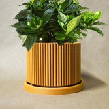 Lightweight 3D Printed Planter with Drainage and Saucer, Unique Pots for Plants, Mustard Yellow, MID CENTURY RIBBED