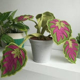 Pink leaves- beautiful handmade felt plant, houseplant, potted plant, fabric house plant, textile plant, choose your own pot colour
