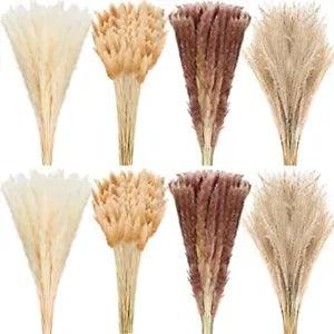 280 Pcs Dried Pampas Grass Bulk 17Inch Bunny Tails Grass Natural Dried Flowers