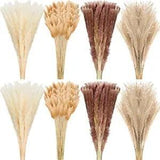 280 Pcs Dried Pampas Grass Bulk 17Inch Bunny Tails Grass Natural Dried Flowers