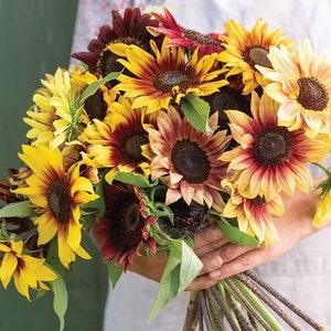 Bouquet perfect SUNFLOWER SEEDS  cut flowers bouquet florist from Urban Food forest/garden