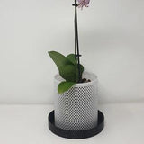 Elegant Versatile Mesh Orchid Flower Pot and Planter with Drip tray - 3D Printed - The Perfect Gift for Indoor and Outdoor Greenery
