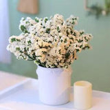 Dried Flowers Sea Lavender Bouquet - Real 100% Natural Statice 100+ Branches Whi