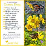 Cowpen Daisy (Verbesina encelioides)   Packet of 25 seeds with New!