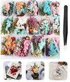 4 Packs Real Natural Dried Flowers for Making Mobile Phone Case Candle Handma...