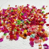 500PCS Dried Flower Head Daizy Glass Cover Nail Art Filling Epoxy Hand Craft DIY