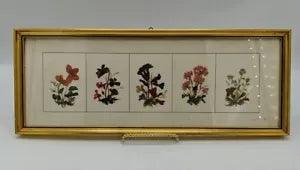 Handmade Framed Pressed Dried Flower Art Made in Tyrol Austria