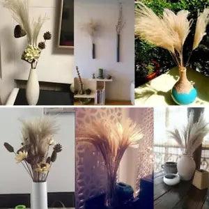 50Pcs Natural Dried Pampas Grass Reed Home Wedding Home Bunch Flower Decor K2B1