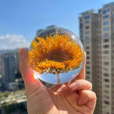 Teddy bear sunflowers Preserved in Resin Shelf decor,Paperweights Desk decor,Resin Shelf Ornaments,Sunflower gift