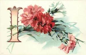 c1907 Large Alphabet Letter Postcard 785, "I" Carnation Flowers Unposted XLNT