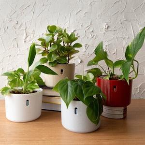 LECA Pots | Self Watering Planter for Houseplants | Hydropot Semi-Hydroponic Plant Pot