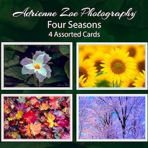 Four Seasons Card Set, 4 assorted blank nature photo cards, Cheerful colorful Greeting Card, small gift, Botanical card, Mother's Day,Canada