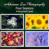 Four Seasons Card Set, 4 assorted blank nature photo cards, Cheerful colorful Greeting Card, small gift, Botanical card, Mother's Day,Canada