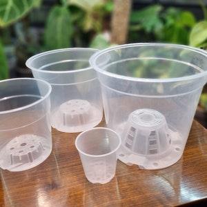 Clear Aroid Pot D15, for house plants