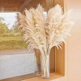New Listing 40" inch 10 Stems Natural Pampas Grass Decor Tall, pompas Grass, Tall Pampas