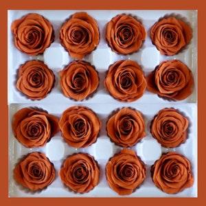 4-5cm Preserved Rose; Preserved Dark Orange Rose; Everlasting Rose; Everlasting Orange Rose; Stabilised Roses; Eternal Rose; Rose