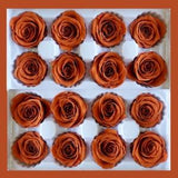 4-5cm Preserved Rose; Preserved Dark Orange Rose; Everlasting Rose; Everlasting Orange Rose; Stabilised Roses; Eternal Rose; Rose