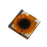 Sunflower Real Natural Plant Specimen Resin Ornaments Night Light Decor Gifts