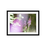 Wild Orchid growing in an ancient woodland. Wayland, Norfolk, UK. (Wall Art. Fine Art Print. Landscape Photography Gift)