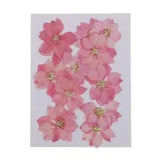 12 Pieces Pressed Flowers Dried Larkspur Real Pressed Dried