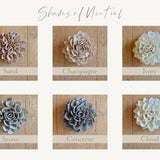 Sola Wood Flowers | Shades of Neutral