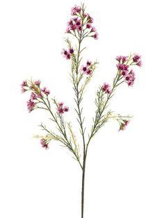 Artificial Waxflower in Mauve Pink Flower Delivery