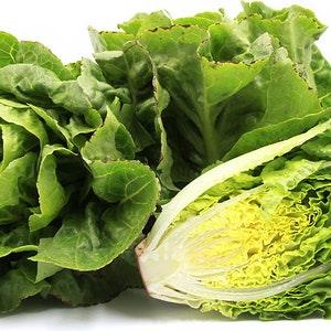 200+ Organic Heirloom Little Gem Romaine  Lettuce Seeds - Organic-Lactuca sativa (Non Gmo )---A059
