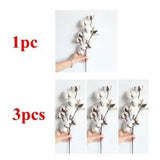 Naturally Dried Cotton Stems Farmhouse Artificial Flower Filler Floral Decor