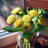 Handmade dandelions bouquet Cold Porcelain Flowers Botanical sculpture Artificial Dandelion
