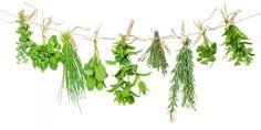 How to Store Fresh Herbs So They Last Longer Flower Delivery