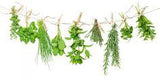 How to Store Fresh Herbs So They Last Longer Flower Delivery