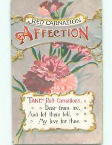 Pre-Linen RED CARNATION AFFECTION - BEAUTIFUL CARNATION FLOWERS SHOWN k4382