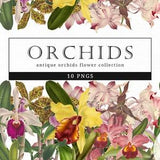 Orchids Vintage Floral Botanical Clip Art, Clipart, Fussy Cut, Cricut, Junk Journal, Ephemera, Planner, Free Commercial Use Clipart
