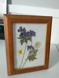 Alaska Wild Flowers framed 6x9 inches (spring 2021)??