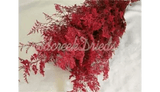 PRESERVED DYED RED CASPIA FLORAL FOLIAGE FILLER FLOWER