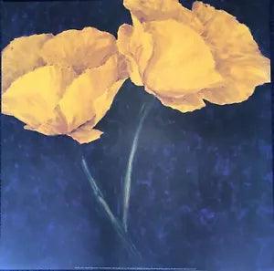 Ranunculus Flowers by Charles Belle (Colour Art Print, 70cm x 70cm)