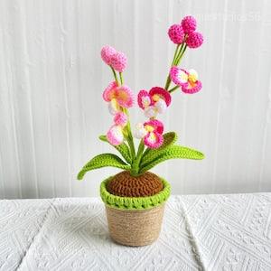 Handmade crochet Phalaenopsis, Crochet orchid potted, Furniture decorative flower, Relocation gift