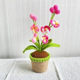 Handmade crochet Phalaenopsis, Crochet orchid potted, Furniture decorative flower, Relocation gift