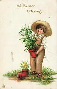 1910's Easter Postcard Tuck's Boy in Garden Holding Pot of Easter Lilies E022
