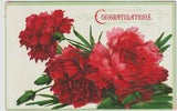 Congratulations Vintage Postcard Red Carnations Flowers Embossed Posted 1913