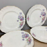 Full set 6, Bridal bouquet dinner plates, J & G Meakin, England, REGE SOL 391413, as is