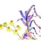 Rainbow fern leaf and exotic yellow orchid bouquet \ 11*14 \ wall decor
