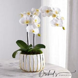 ARMAMI PARIS -Faux White Orchid in a Ceramic Vase white gold - Modern Luxury Arrangement - Fake Orchid and Floral Moss -Preserved Moss